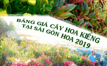 Bang Gia Cay Hoa Kieng 2019