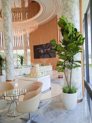 Cùng Sài Gòn Hoa Tậu Cây Bóng Mát-Ưu Đãi Bát Ngát