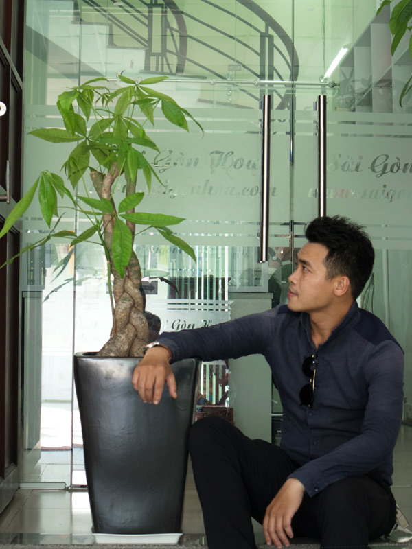 Lợi ích của việc trồng cây xanh trong văn phòng