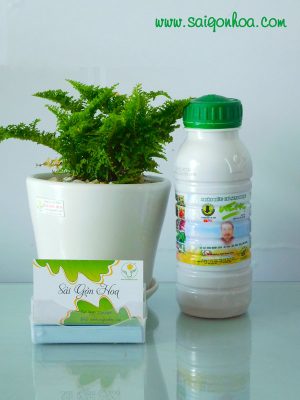 Phân Hữu Cơ Sinh Học WEHG Loại 0.5Lít