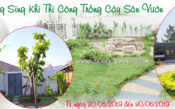 Tang Cay Bang Sing Khi Thi Cong Trong Cay 1