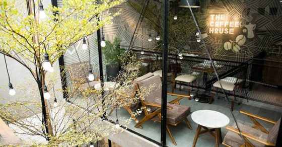 CẢNH QUÁN CAFE SÂN VƯỜN THIẾT KẾ PHONG CÁCH NHIỆT ĐỚI GIỮA THÀNH PHỐ