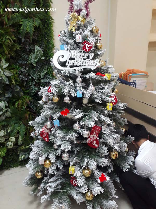 Top 4 mẫu cây thông Noel đẹp dễ trang trí cho Giáng Sinh 2021 | websosanh.vn
