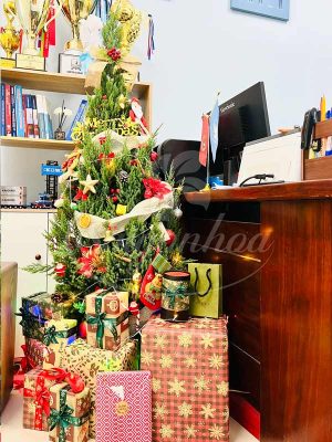 Cây Tùng Trang Trí Noel