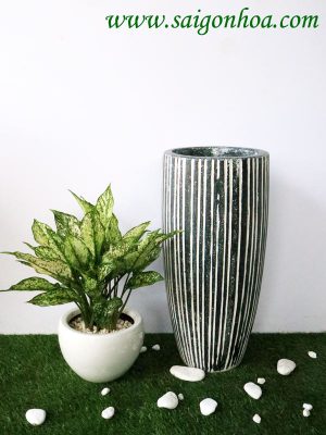 Chậu Đá Mài Trụ Chỉ Dọc Size 24