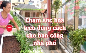 Cham Hoa Treo Ban Cong Dung Cach
