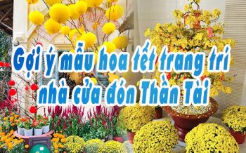 Goi Y Mau Hoa Trang Tri Nha Don Tet