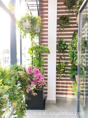 Tiểu Cảnh Ban Công 01