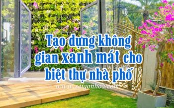 Tao Dung Khong Gian Nha Pho