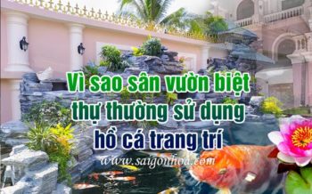 Thi Cong Ho Ca Biet Thu