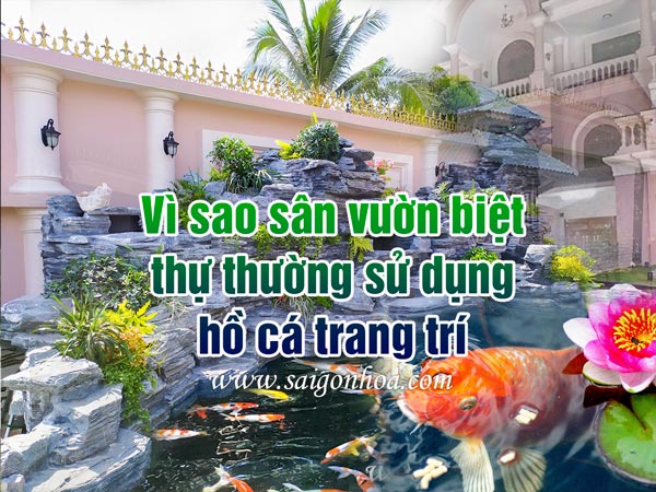 Thi Cong Ho Ca Biet Thu