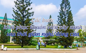 Cac Buoc Khoi Phuc Canh Quan