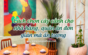 Cach Dung Cay Canh Trang Tri