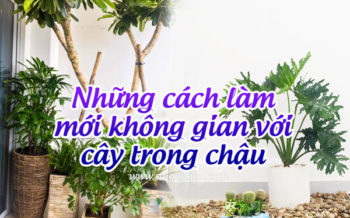 Lam Moi Khong Gian