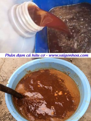 Phân Đạm Cá Hữu Cơ Cho Cây Trồng