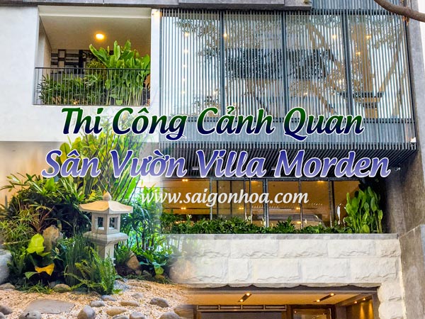 Thi Cong San Vuon Villa Morden