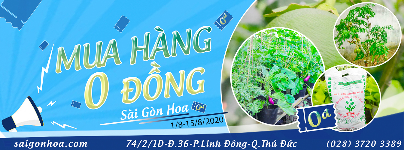 Banner Mua Phan Trun Que 0 Dong