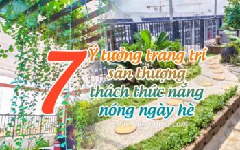 Y Tuong Trang Tri San Thuong