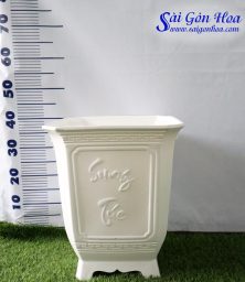 chau nhua vuong tu quy