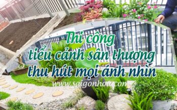 Thi Cong Tieu Canh San Thuong