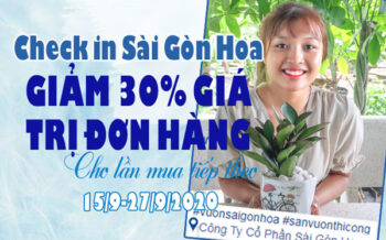 Check In Cung Sai Gon Hoa