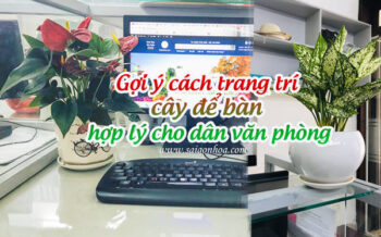 Goi Y Cach Bo Tri Cay Xanh