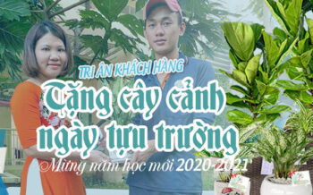 Qua Tang Cay Canh Tuu Truong