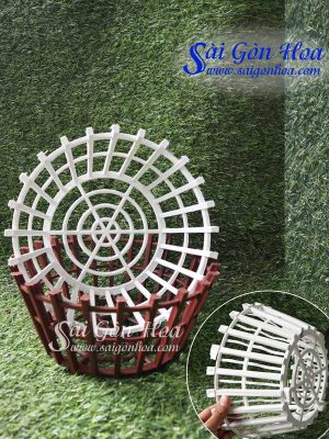 Chậu Nhựa Trồng Lan Giả Gỗ 30