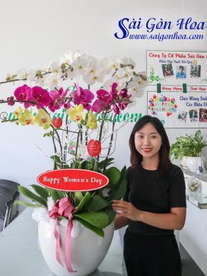 Chậu Hoa Lan Hồ Điệp Quà Tặng 20-10
