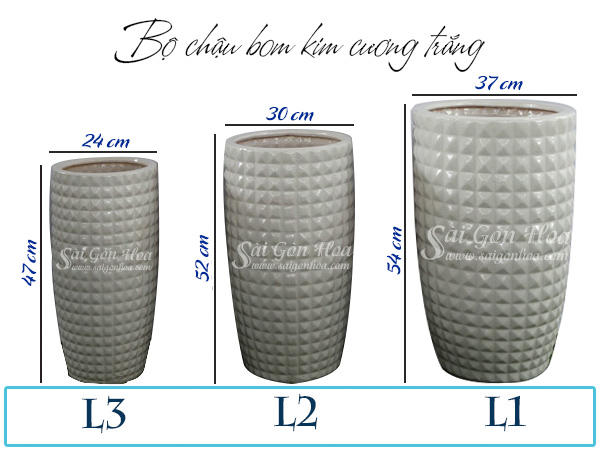 Bộ Chậu Bom Kim Cương Trắng