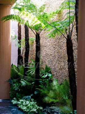 Cây Dương Xỉ Cổ Đại