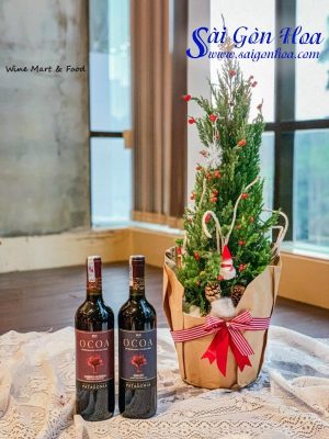 Cây Tùng Bút Noel Phủ Tuyết