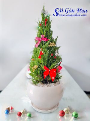 Cây Tùng Bút Trang Trí Noel Để Bàn