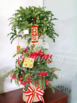 Kim Ngân Lượng Trang Trí Tết