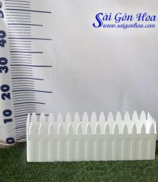 chau nhua chu nhat hang rao nho