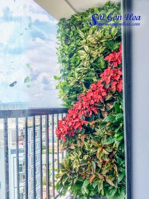 Tường Cây Ban Công