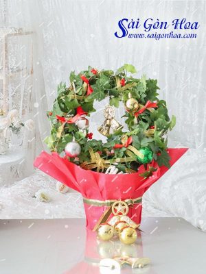 Vòng Dây Thường Xuân Giáng Sinh