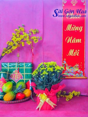 Cúc Đà Lạt Quà Tặng