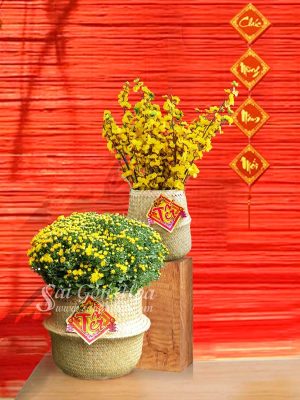 Cúc Mâm Xôi Giỏ Cói