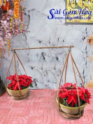 Gánh Hoa Trạng Nguyên