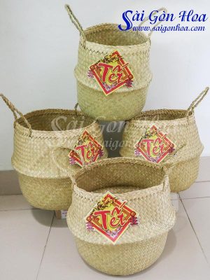 Giỏ Cói Trồng Cây