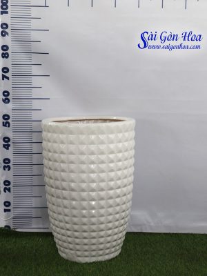 Chậu Bom Kim Cương Trắng L2