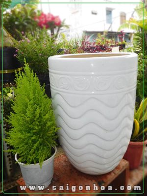 Chậu Sứ Vân Gợn Sóng Gốm Bát Tràng