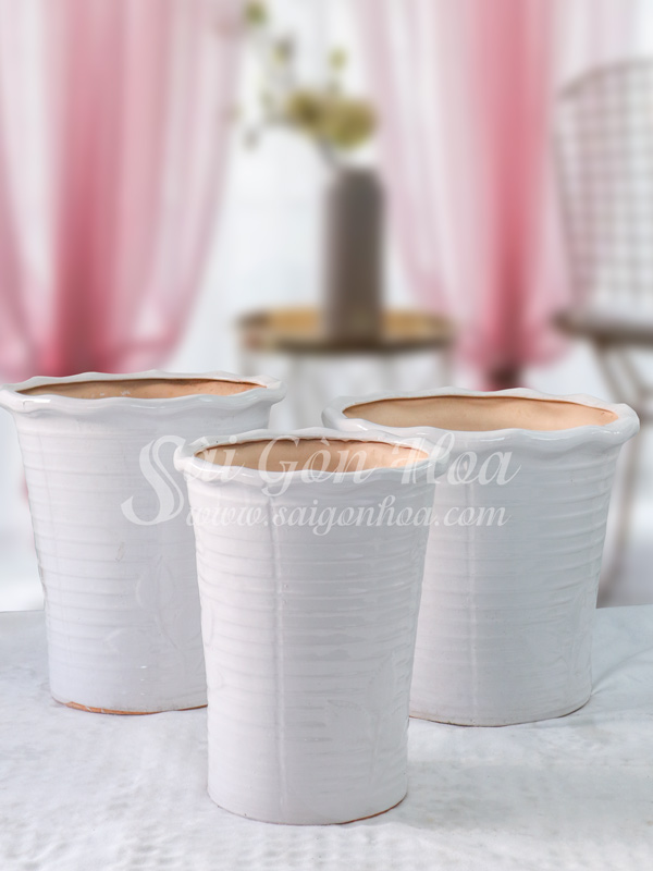 Bộ Chậu Sứ Hoa Hồng