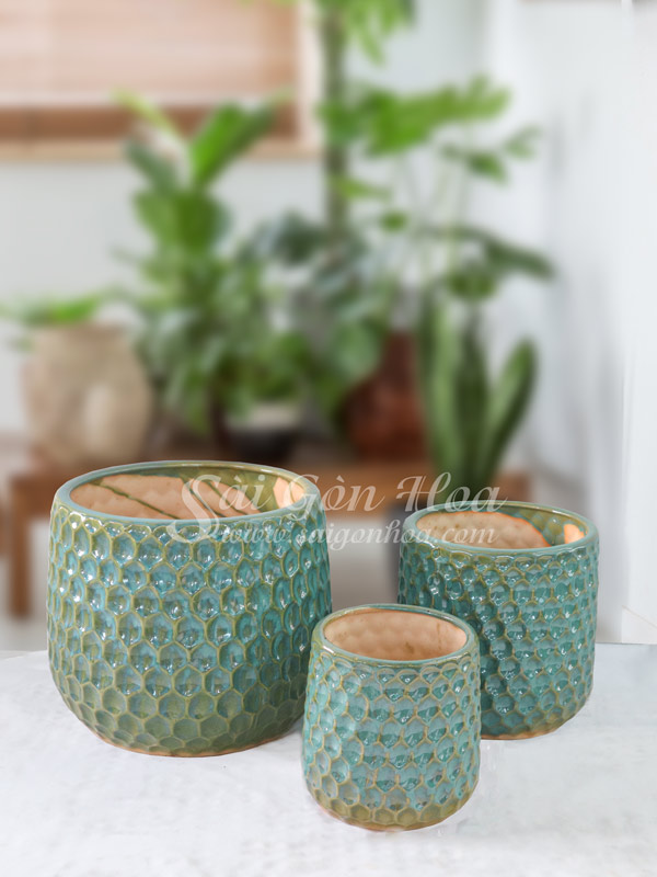 Bộ Chậu Sứ Tổ Ong Xanh