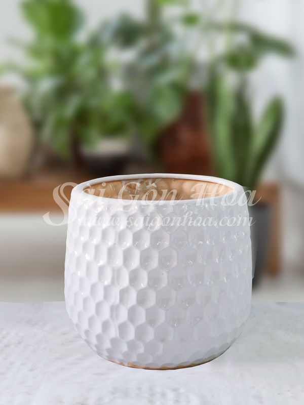 Chậu Sứ Tổ Ong Trắng L1