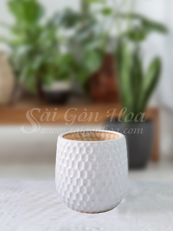 Chậu Sứ Tổ Ong Trắng L3