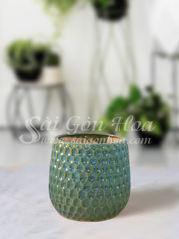 Chậu Sứ Tổ Ong Xanh L3