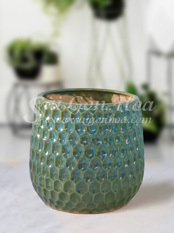 Chậu Sứ Tổ Ong Xanh L1