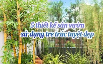5 Thiet Ke San Vuon Su Dung Truc Tre Tuyet Dep
